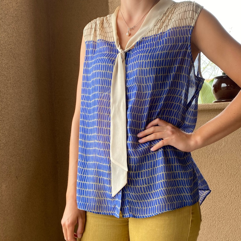 The Limited Blouse